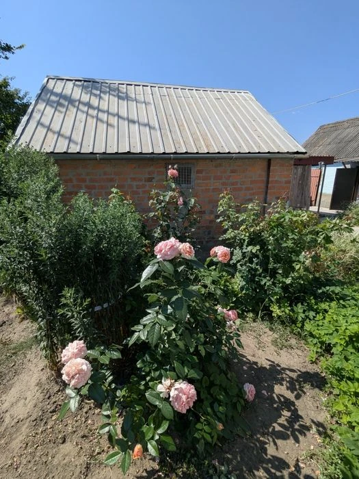 26 тыс Продам Будинок  с. Мала Рогань с зручностями та 17 со