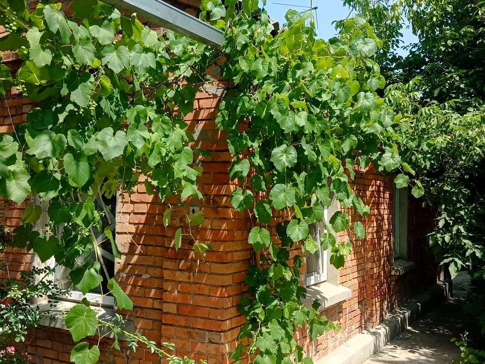 Будинок. Харків, Варениківський пров.