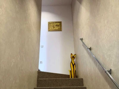 Будинок. Суми, Льотна вул.