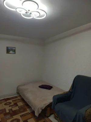 Будинок зі зручностями, меблями та технікою