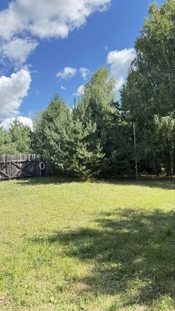 && Будинок у лісі з ВЛАСНОЮ ВОДОЙМОЮ