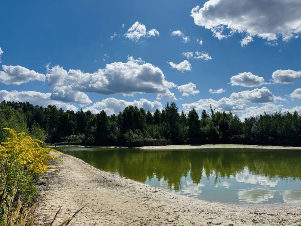 && Будинок у лісі з ВЛАСНОЮ ВОДОЙМОЮ