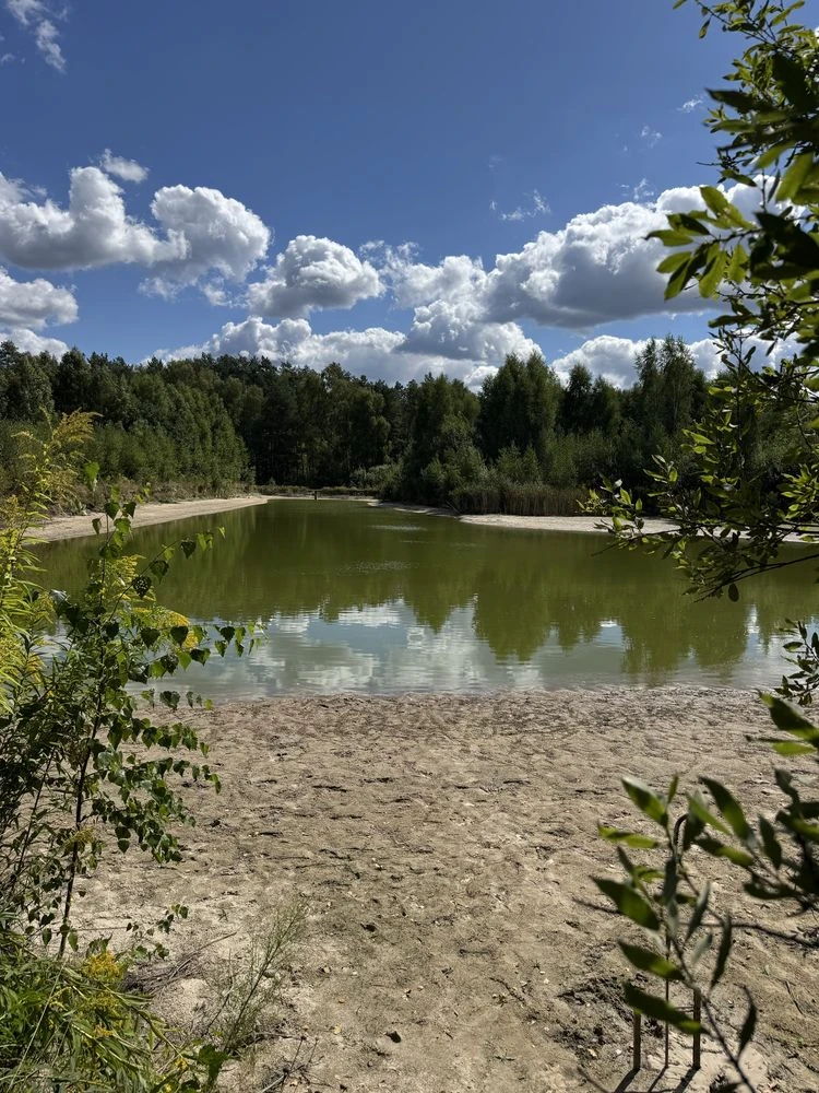 && Будинок у лісі з ВЛАСНОЮ ВОДОЙМОЮ