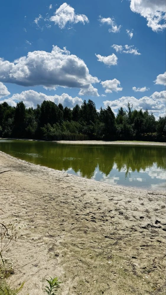 && Будинок у лісі з ВЛАСНОЮ ВОДОЙМОЮ