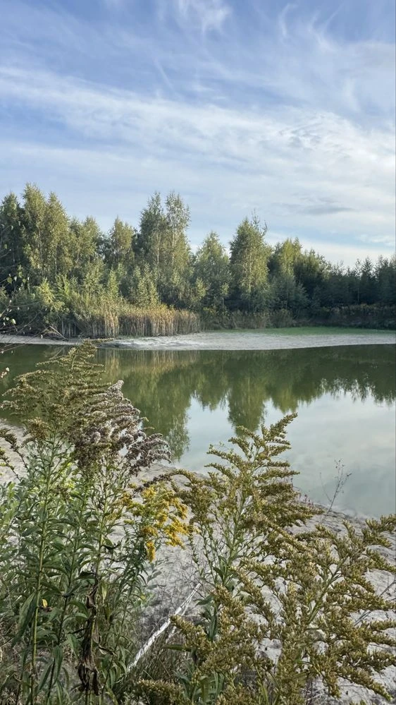 && Будинок у лісі з ВЛАСНОЮ ВОДОЙМОЮ