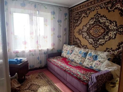 Apartment. Dnipro, Winter Hikes