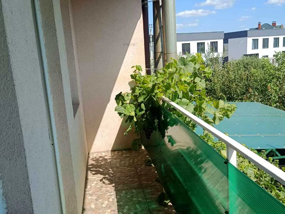 Будинок. Київ, Центральна вул.
