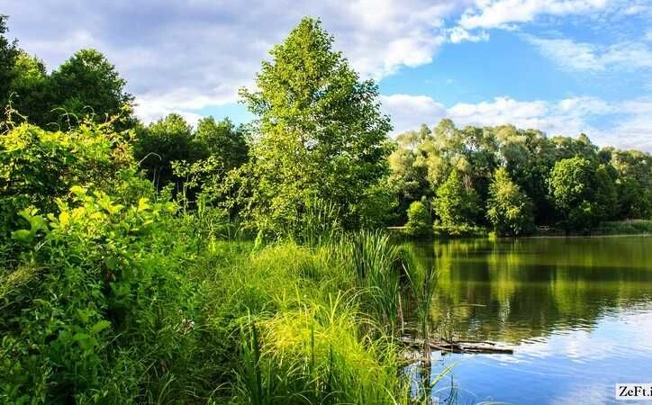 Продаж будинку Голосіївський район, вул. Клавдіі Радченко Ча