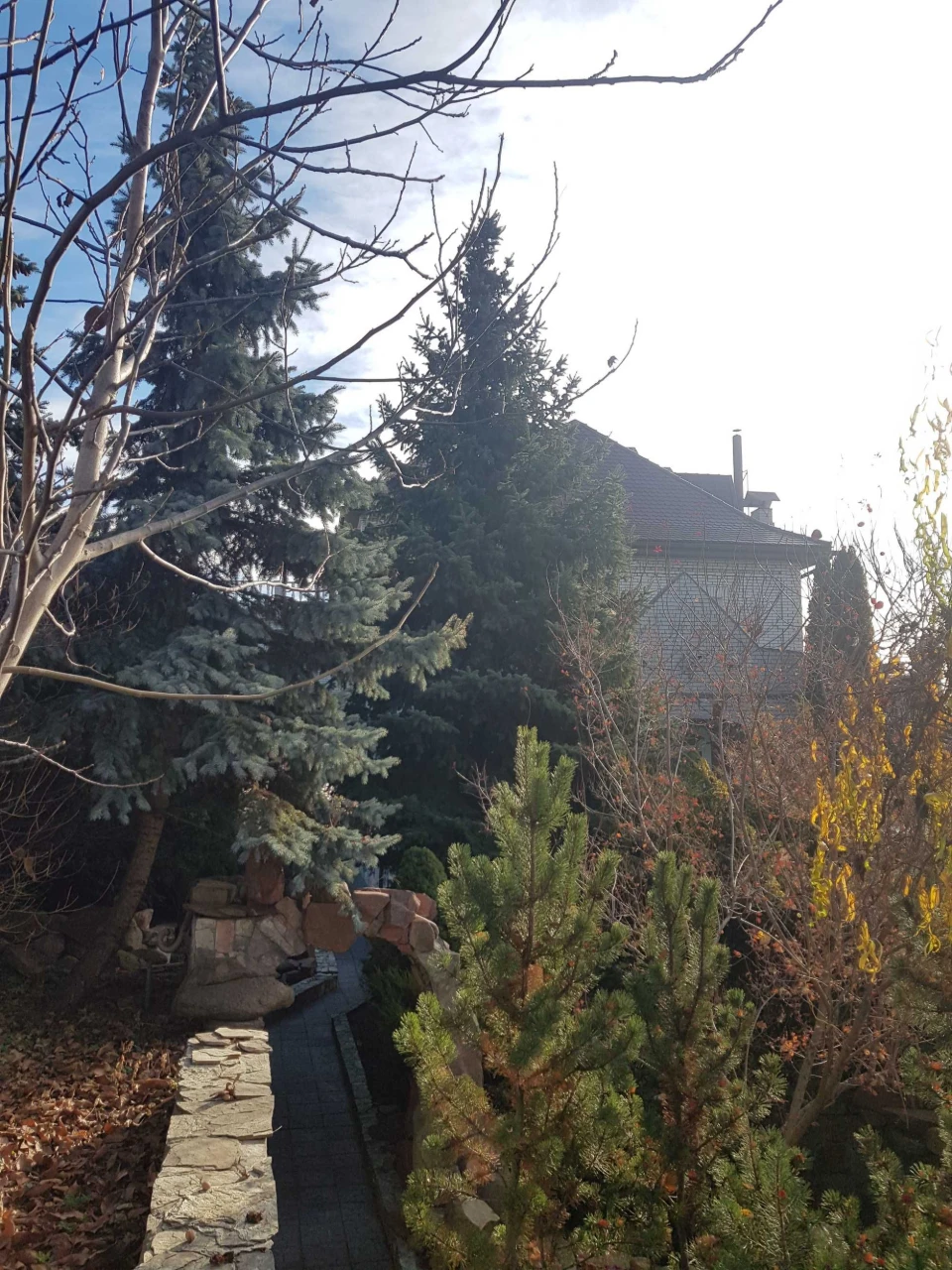 Продам будинок з УКРИТТЯМ  515кв.м 10 соток, Совки, вул.Черв