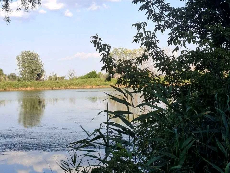 Будинок. Дніпро, Клубничка
