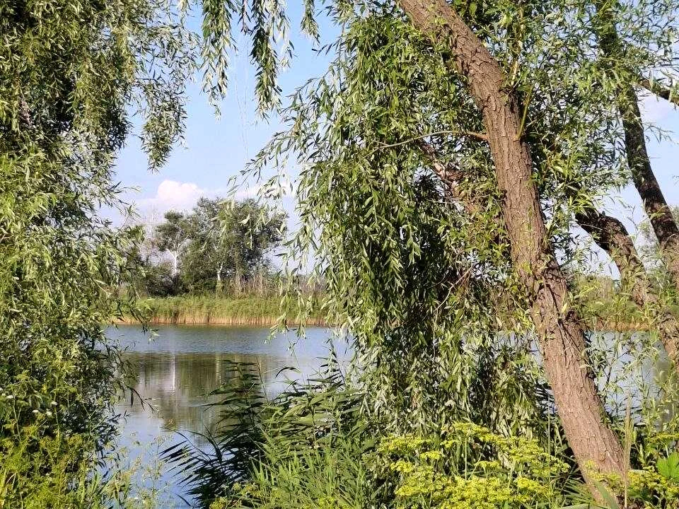 Будинок. Дніпро, Клубничка