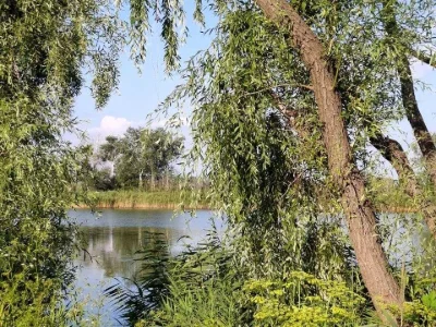 Будинок. Дніпро, Клубничка