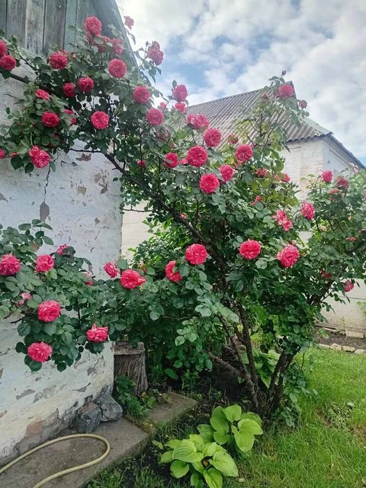 Продам будинок на ж.м.Перемога,6