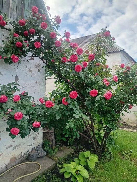 Продам будинок на ж.м.Перемога,6