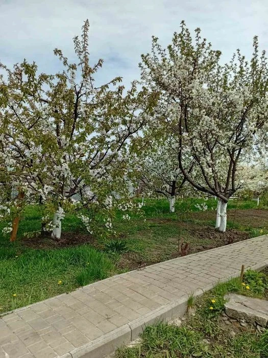 Продам будинок на ж.м.Перемога,6