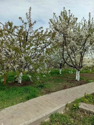 Продам будинок на ж.м.Перемога,6