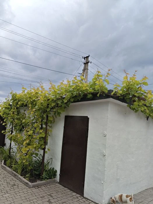 Продам будинок на ж.м.Перемога,6