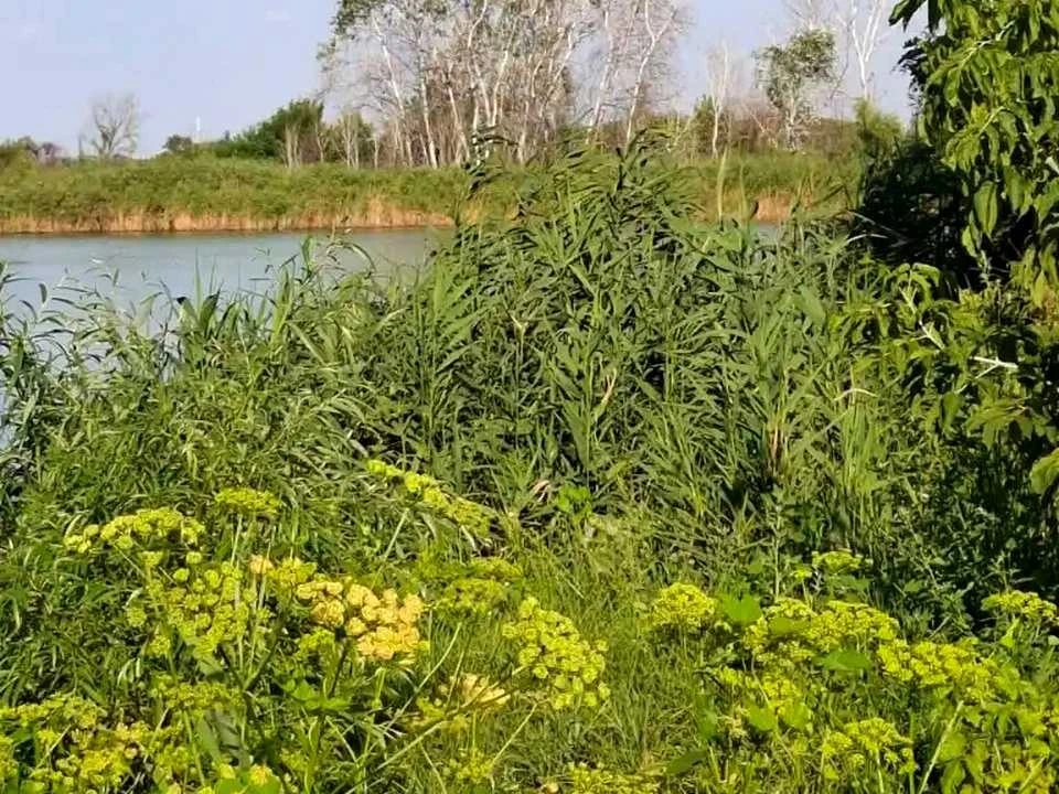 Будинок. Дніпро, Старочумацька вул. (Байкальська)