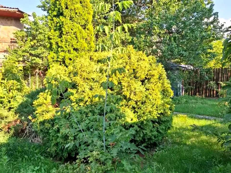 Будинок. Дніпро, Старочумацька вул. (Байкальська)