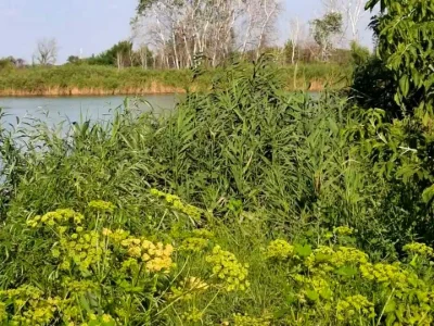 Будинок. Дніпро, Старочумацька вул. (Байкальська)