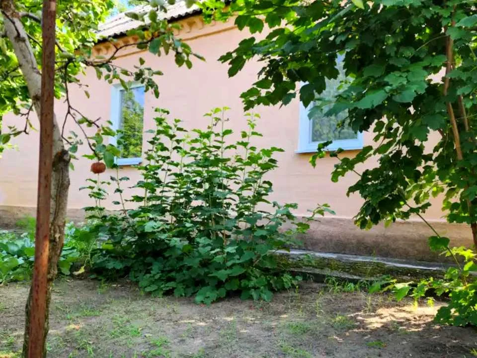 Будинок. Дніпро, Брилів Шлях вул. (Іжевська)