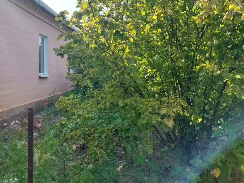 Будинок. Дніпро, Брилів Шлях вул. (Іжевська)