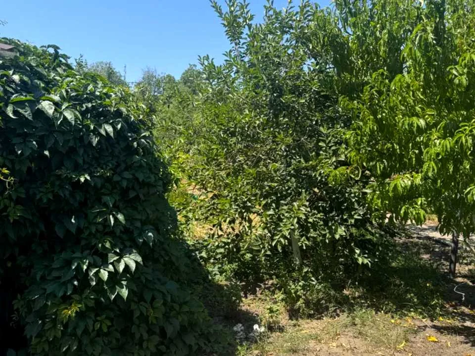 Будинок. Дніпро, Єреванська вул.