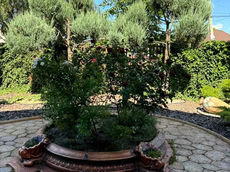 Будинок. Дніпро, Юрія Лісняка вул. (Робкорівська)