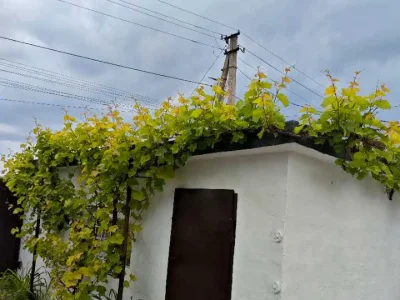 Будинок. Дніпро, Глиняна вул.