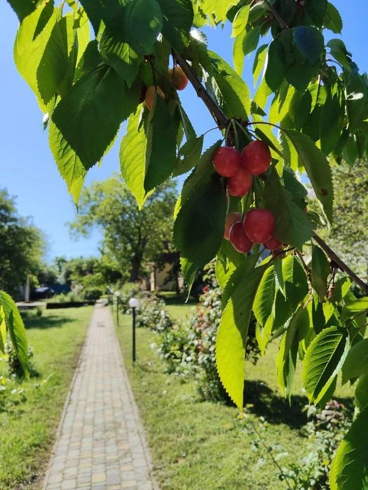 Продам сучасний власний будинок Новакодацький р-н ,вул.Гладч