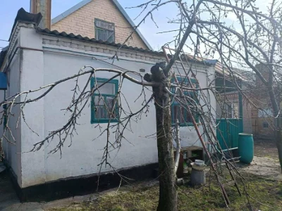 Продам будинок, насправди. Мирний, Днiпро