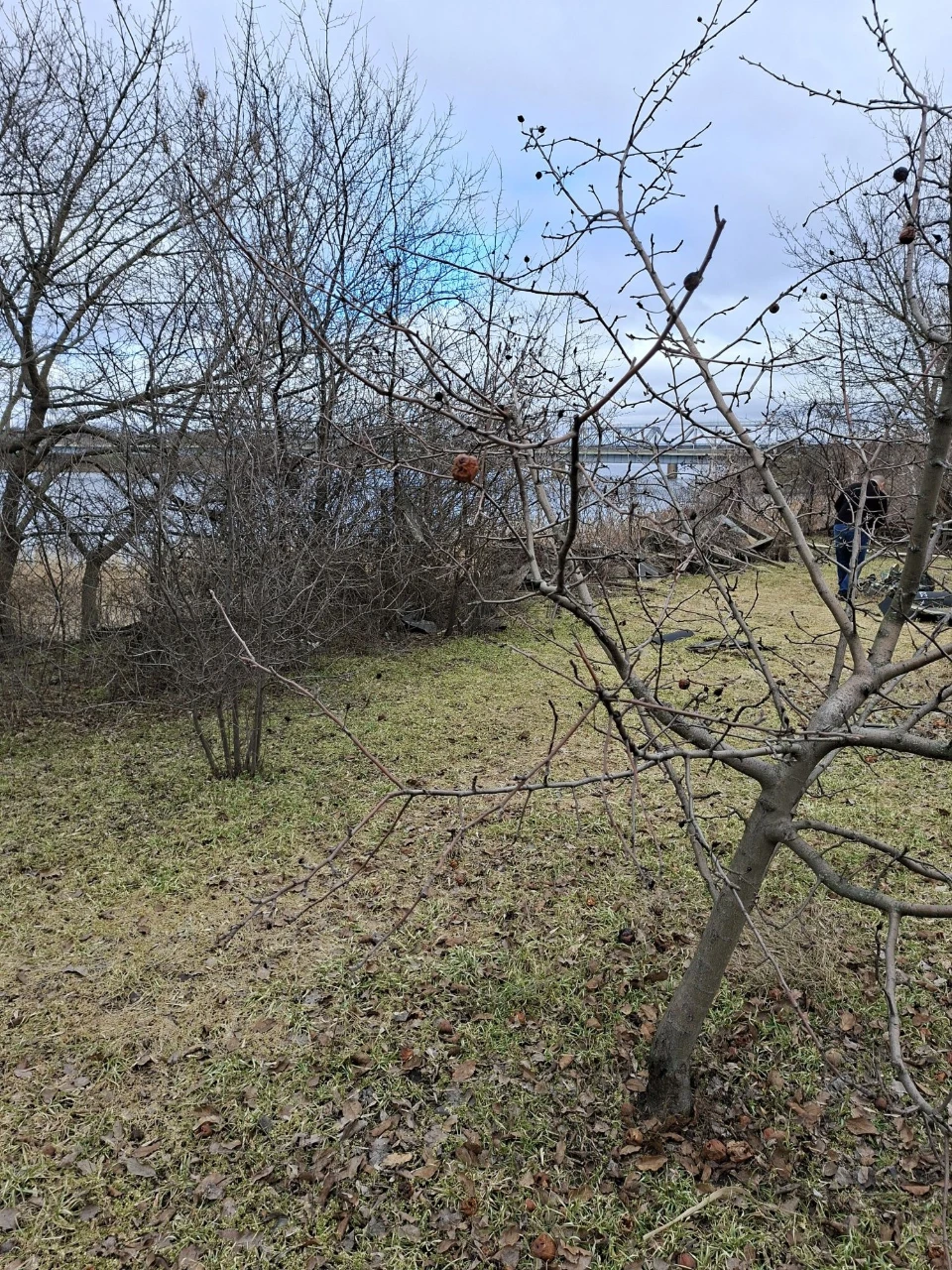 Продам дом в Рыбальском,ул.Немецкая, 94м2, уч-к 10сот.