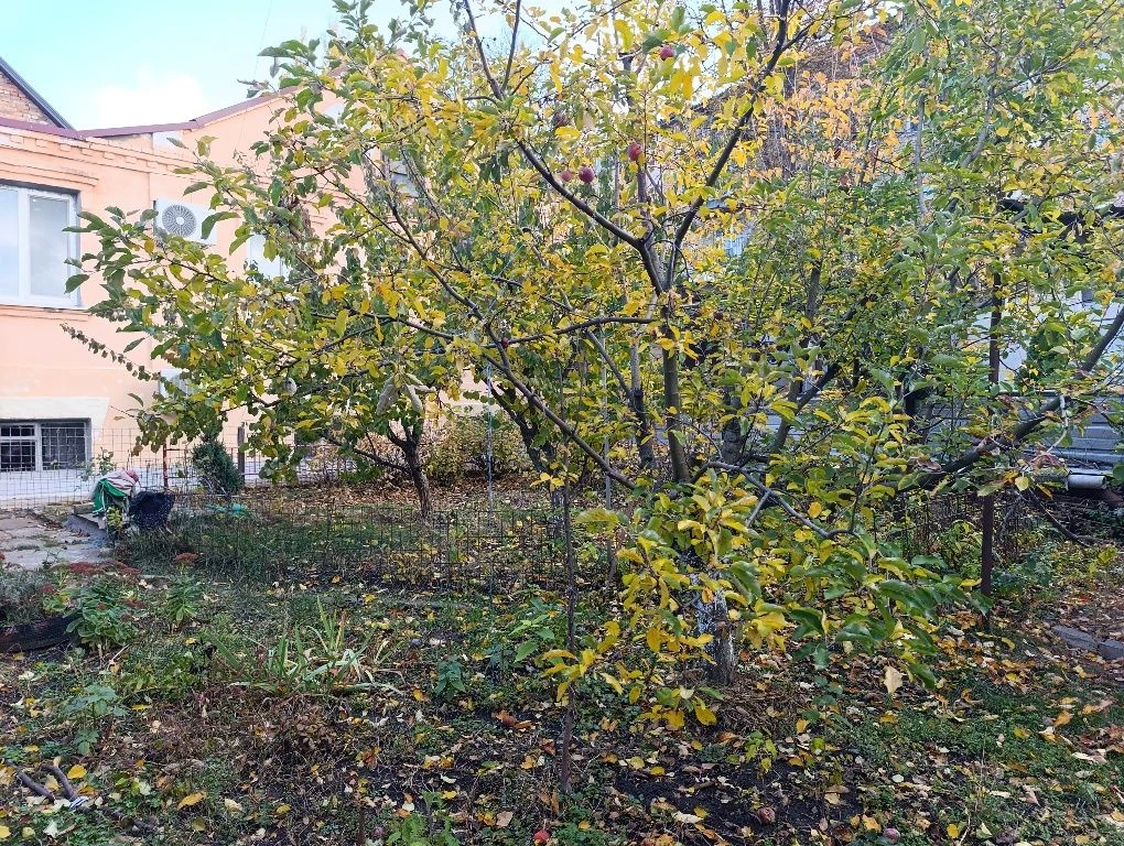Продам будинок район по. Науки (Гагаріна), вул. Сірко, ТРЦ N