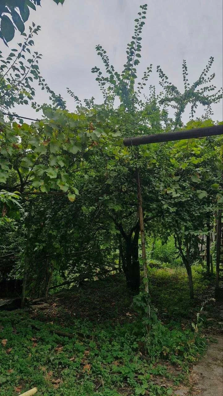 Продам будинок , р-н пр. Науки. Газ, автономне опалення без