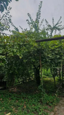 Продам будинок , р-н пр. Науки. Газ, автономне опалення без