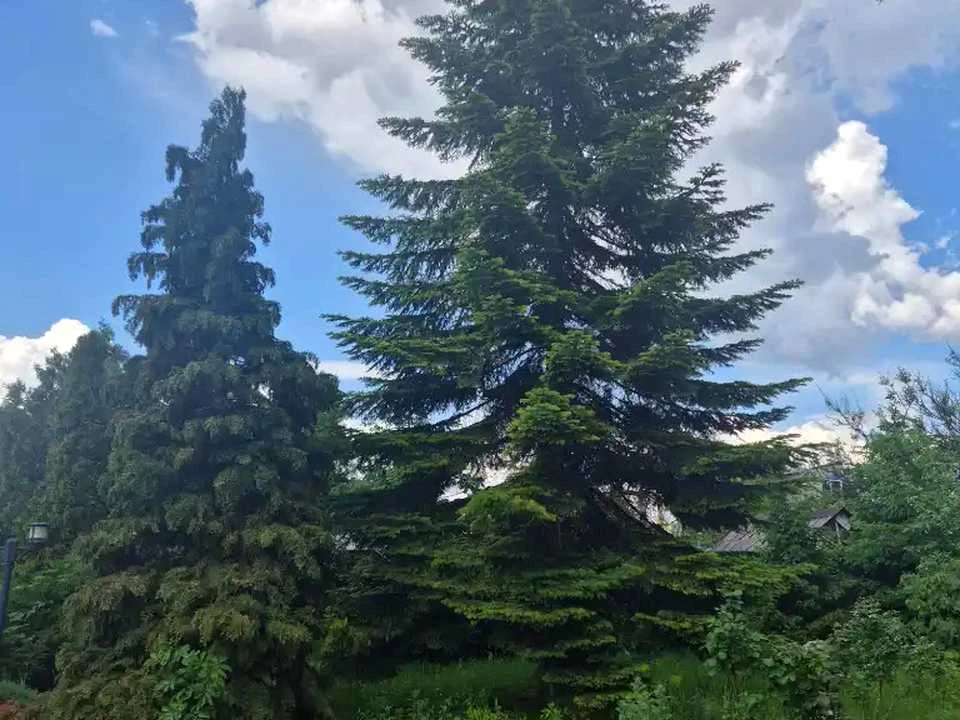Будинок. Дніпро, Чиркова вул.