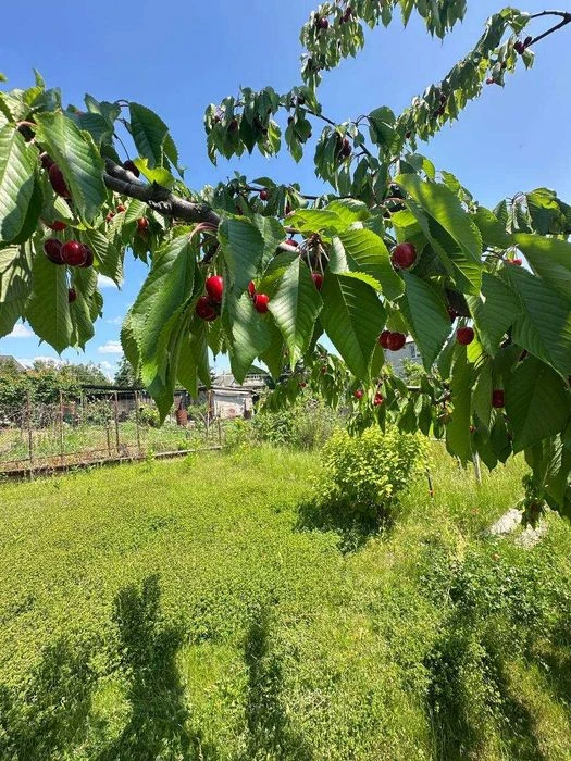 Срочно продам дом, 90м2, ж/м Приднепровск