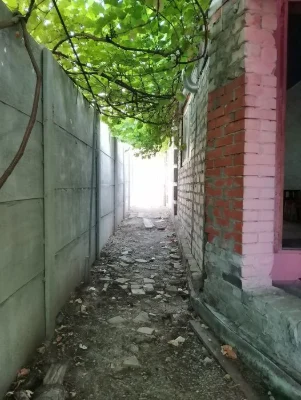 Продам  дом АМУР