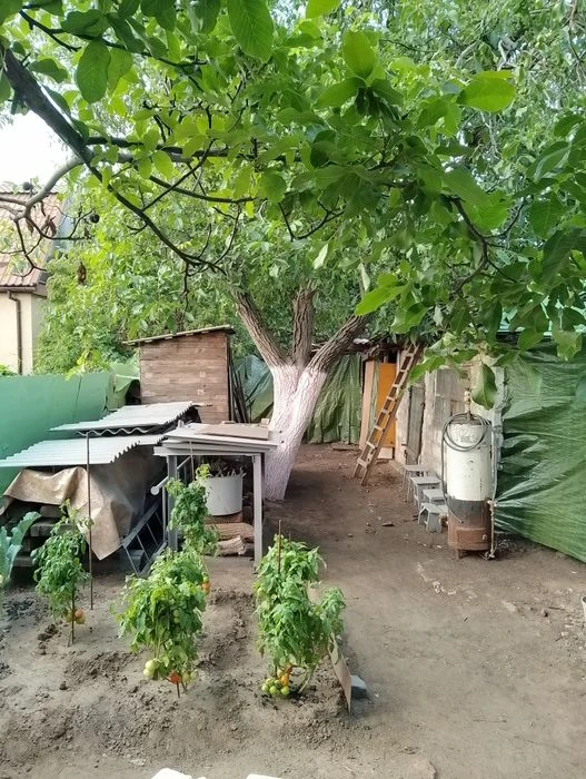 Продам  дом АМУР