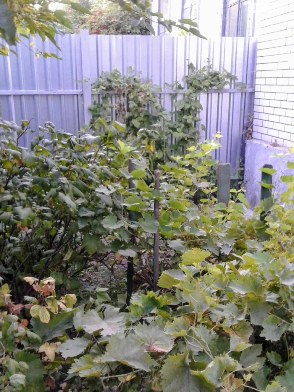 Продаж Частина будинку Амур-Нижньодніпровський