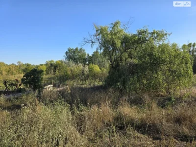 Продаж Дім Амур-Нижньодніпровський