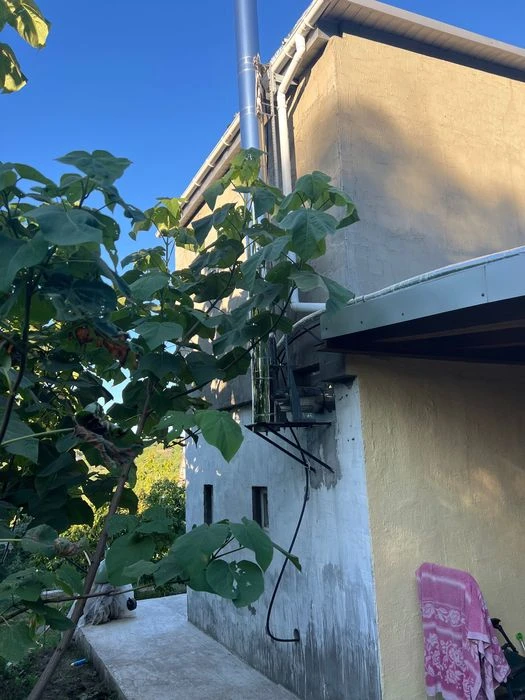 Продам дом, дачу