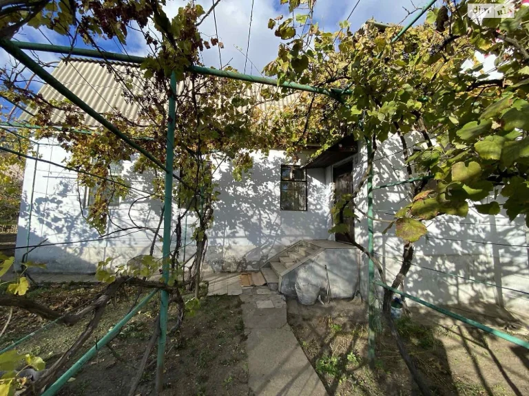 Продаж Дім Придніпровський