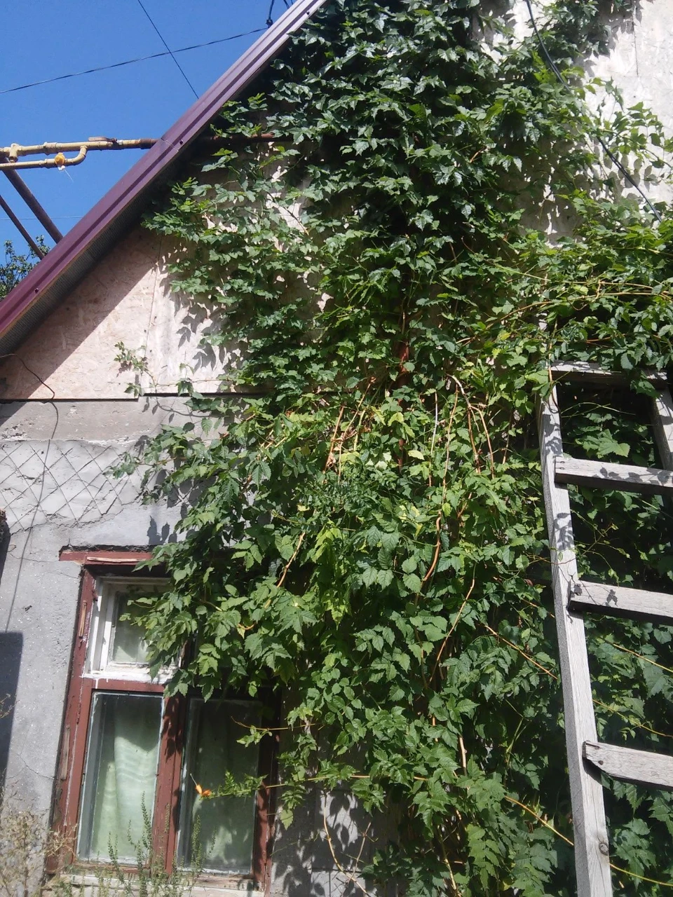 Продам дом Хаджибеевская дорога