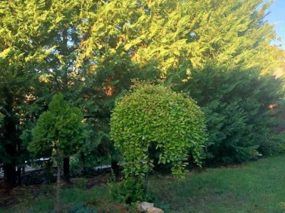 Будинок. Миколаїв, Травнева вул.