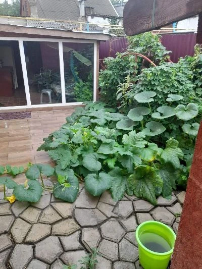 Продам 2х эт. дом с мансардой. Р-н 6 Слободская - пр. Центра