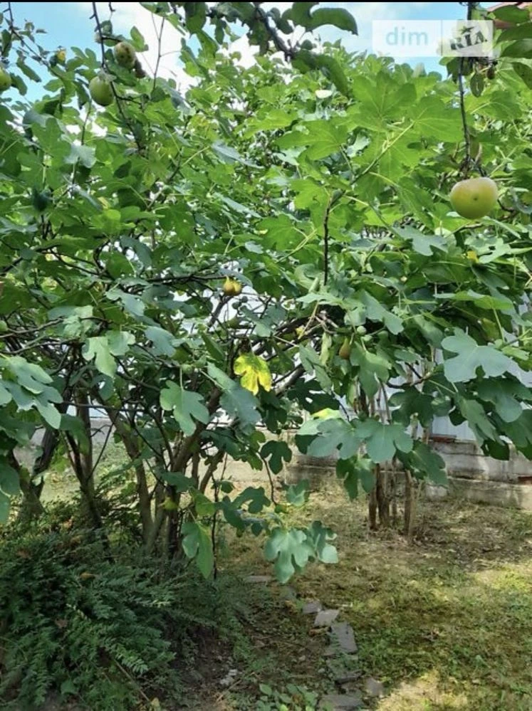 Продаж будинку Ужгород