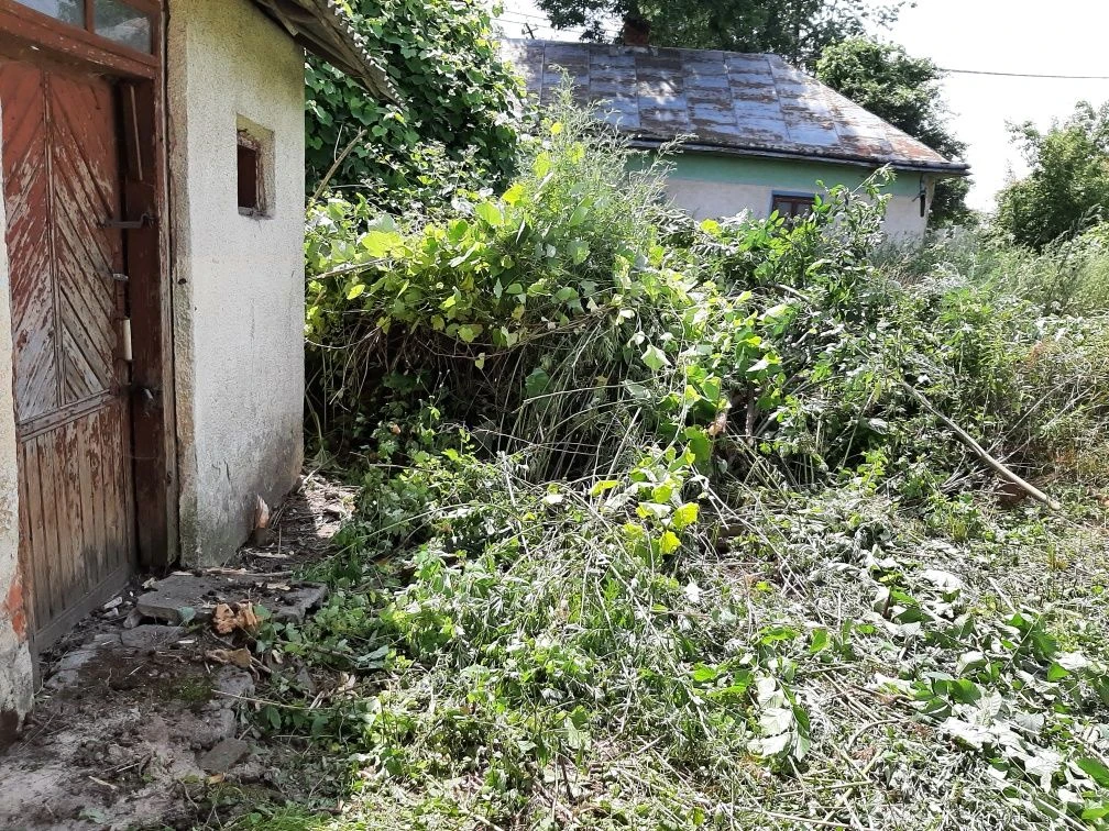 Господарство в Хоросткові Земельна ділянка  0,7 га .і