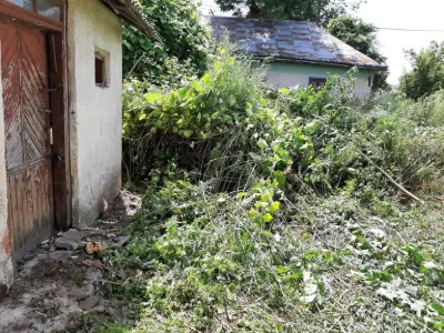 Господарство в Хоросткові Земельна ділянка  0,7 га .і