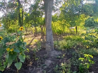 Продаж Дім Придніпровський